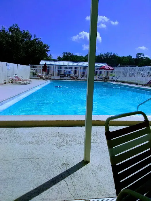 Paradise Village Tampa Picture 1