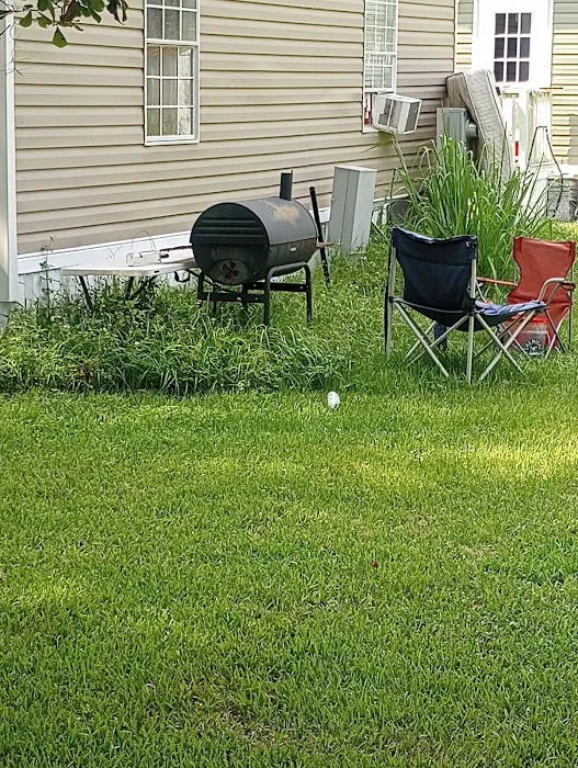 Paradise Village Tampa Picture 10