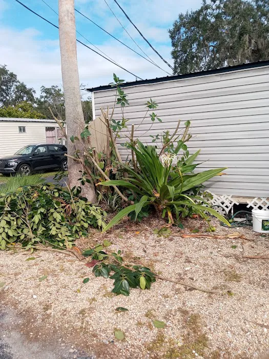 Countryside Village Picture 3