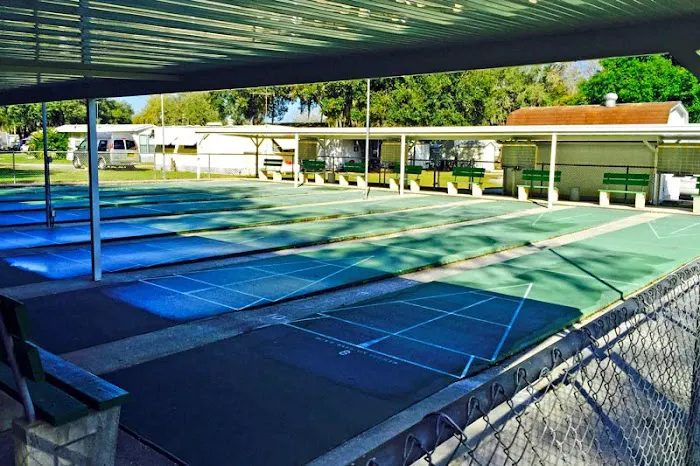 River Palm RV Resort Picture 4