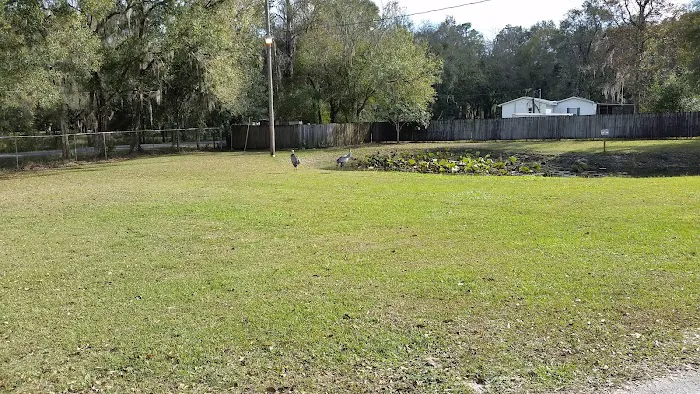 River Palm RV Resort Picture 8