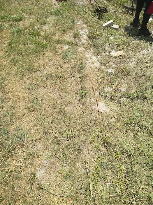 Colony Club Mobile Home Pk Picture 3
