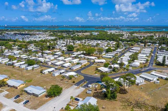 Tall Pines Picture 1