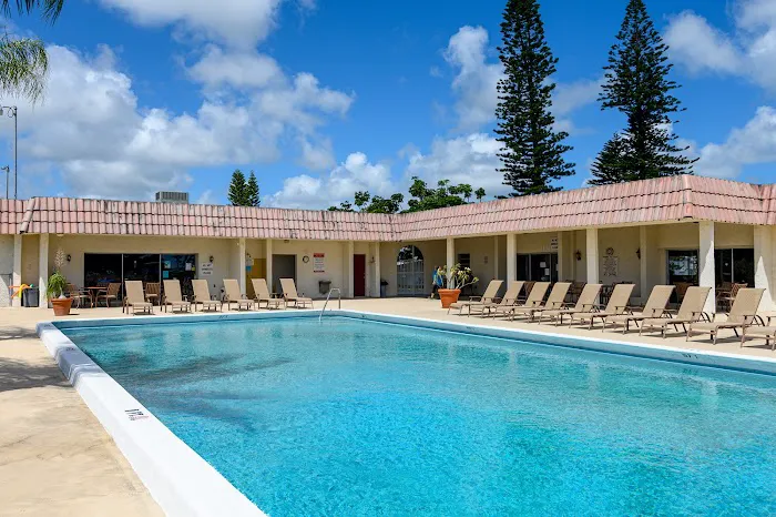 Tall Pines Picture 2