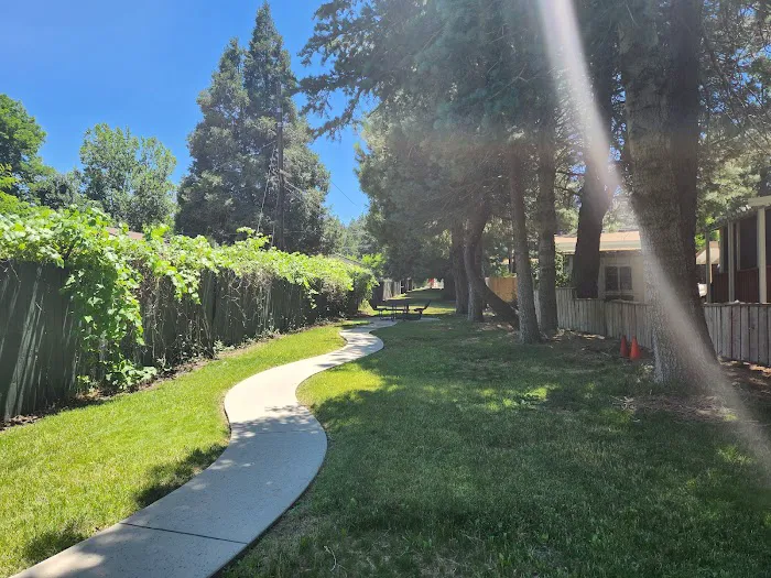 Tall Pines Picture 6