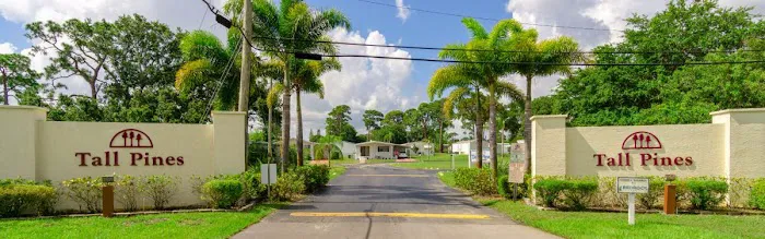 Tall Pines Picture 4