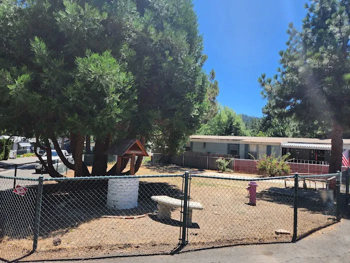 Tall Pines Picture 7