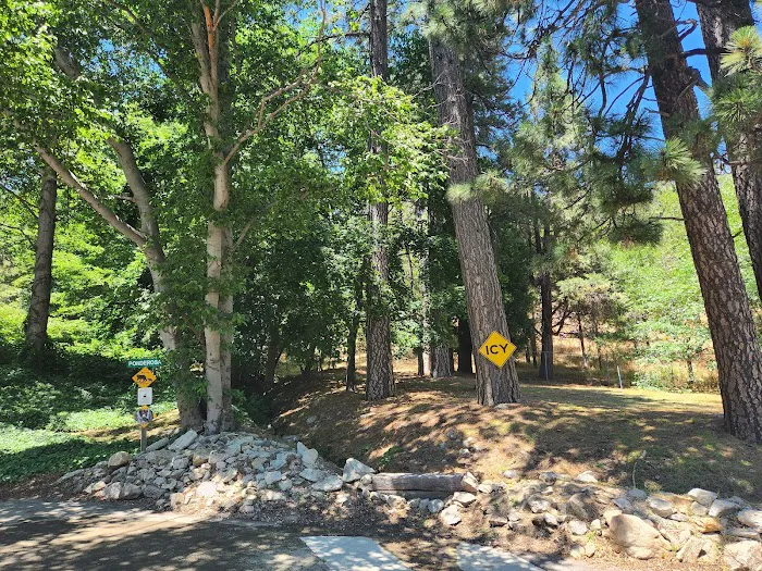 Tall Pines Picture 9