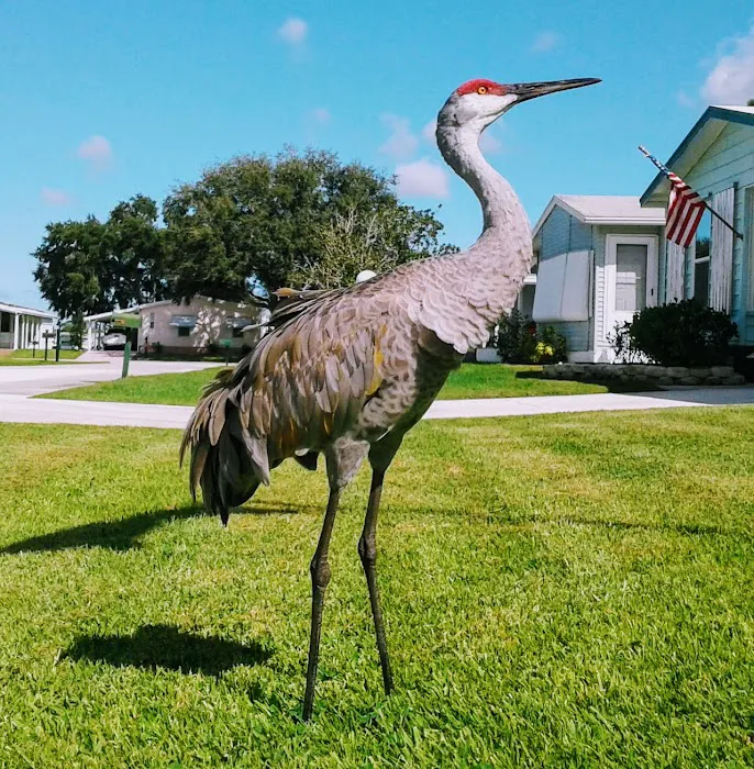 Golden Ponds Manufactured Home Community Picture 6