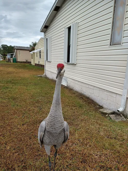 Golden Ponds Manufactured Home Community Picture 1