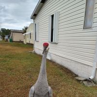 Golden Ponds Manufactured Home Community ico