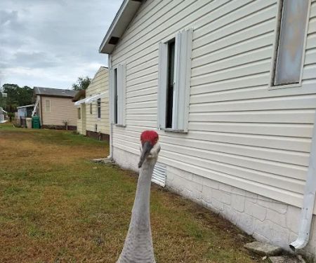 Golden Ponds Manufactured Home Community