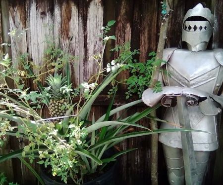 King of the Road Mobile Home Park