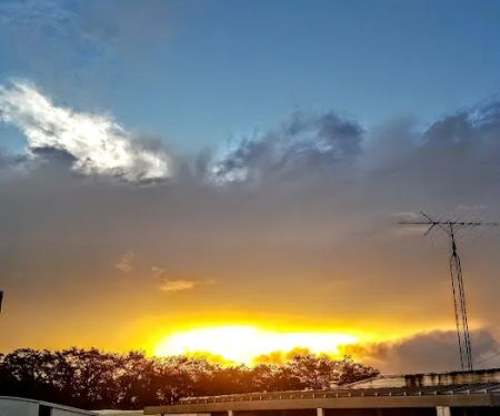 Braswell's Heritage Estates