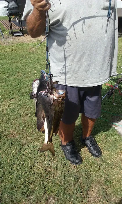 Sebring Grove RV Resort Picture 9