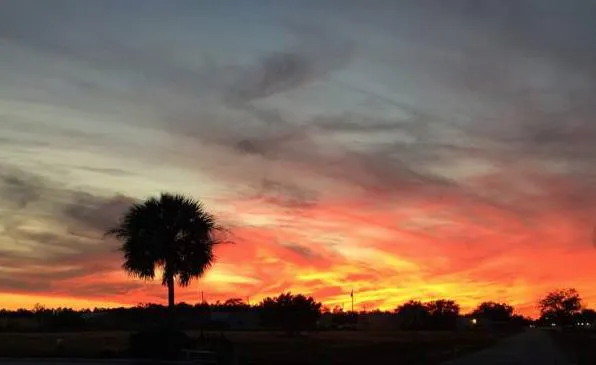 Woody's RV Resort Picture 5