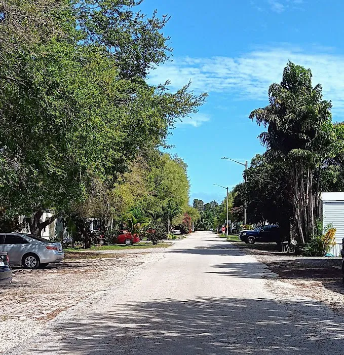 Manatee Mobile Home & RV Park Picture 3