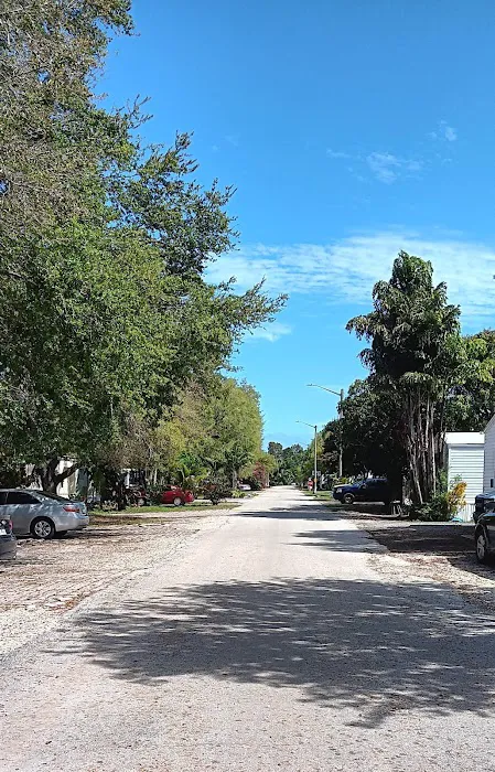 Manatee Mobile Home & RV Park Picture 4