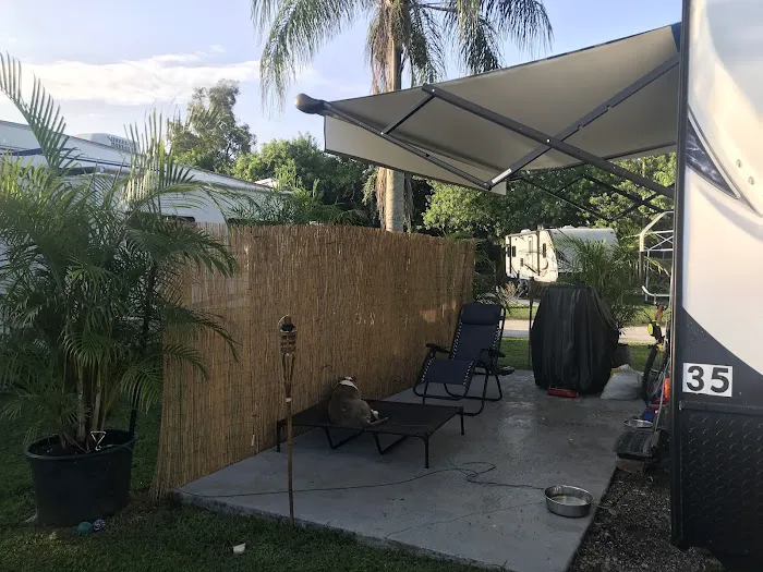 Easy Livin' RV Park Picture 6