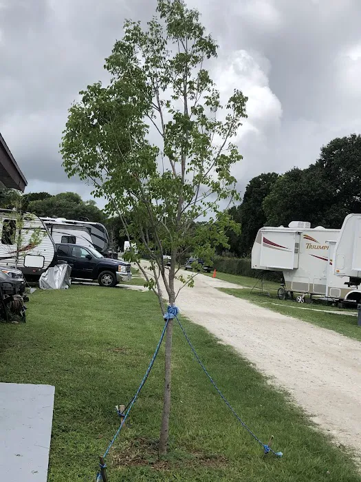 Easy Livin' RV Park Picture 10