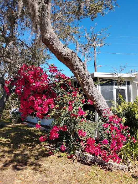 Highland Oaks RV Resort Picture 3