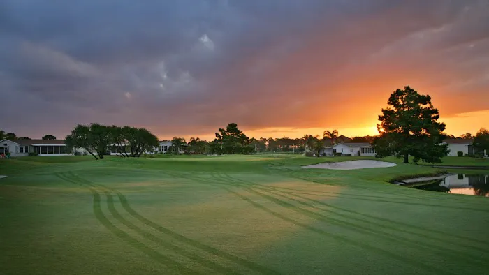 Savanna Club Picture 5