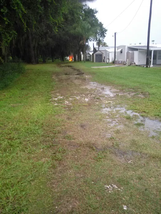 Silver Oaks Picture 8