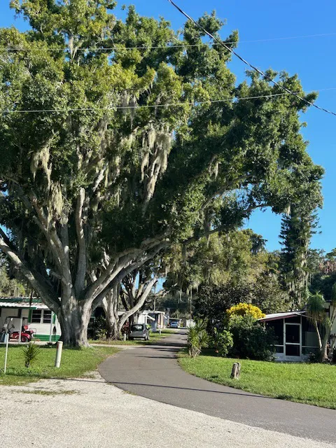 Oak Shores Picture 1