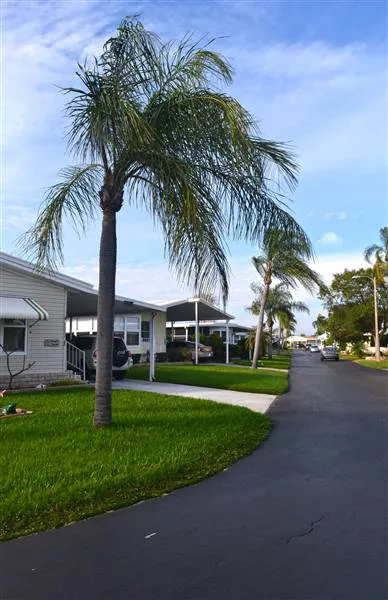 Americana Cove Picture 4