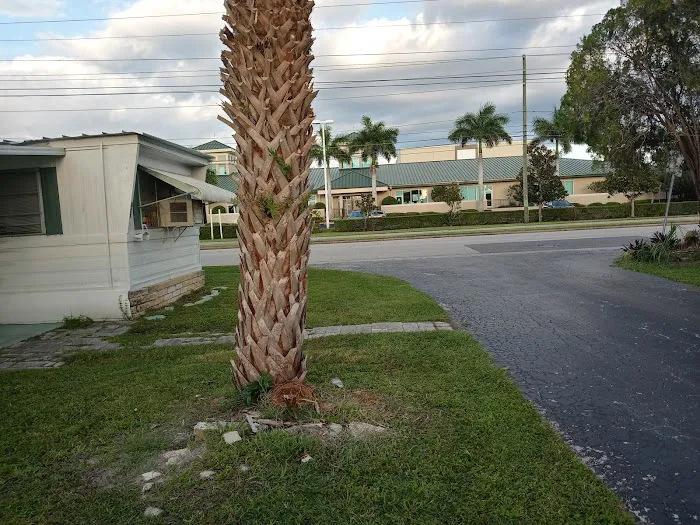 Treasure Village Picture 1