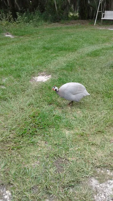 Mallard Mobile Home Park Picture 9