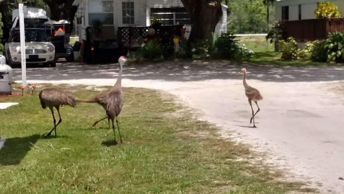 Mallard Mobile Home Park Picture 7