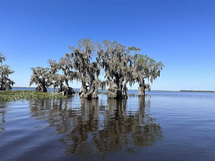 Cypress Isle RV Park & Marina Picture 1