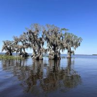 Cypress Isle RV Park & Marina ico