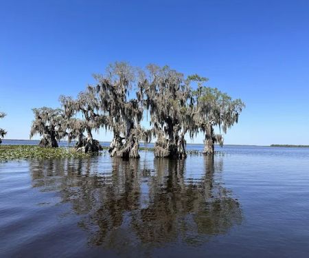 Cypress Isle RV Park & Marina