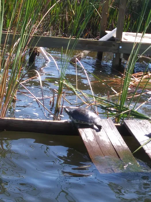 Lake Garden Mobile Home Park Picture 9