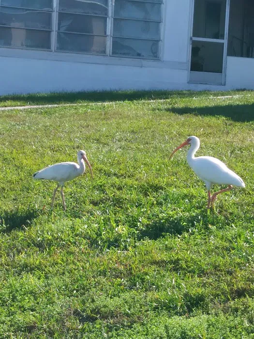 Lake Garden Mobile Home Park Picture 8