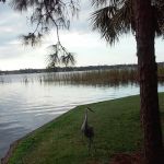 Gadsden Management Inc