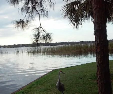 Gadsden Management Inc