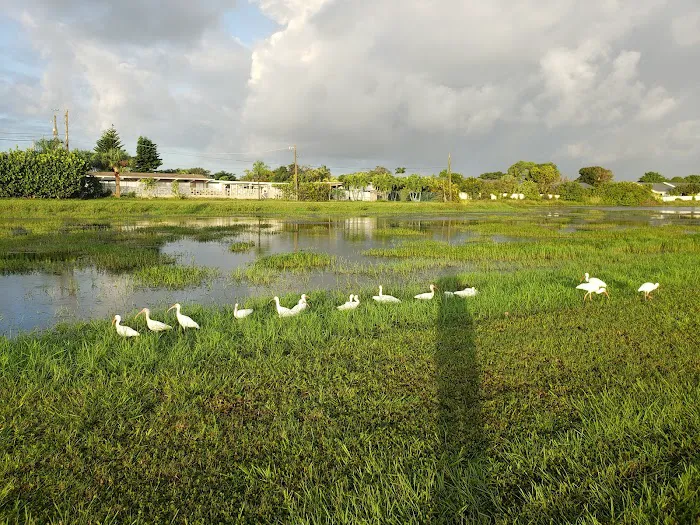 Lakeside Village Mobile Home Park Picture 3