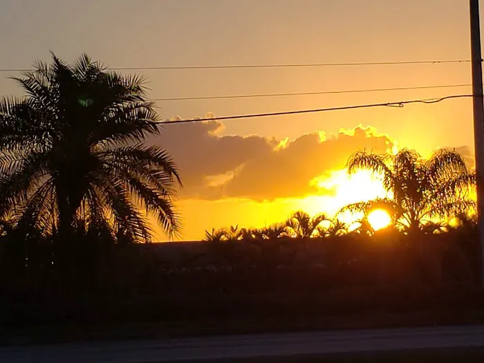 Hobe Sound Mobile Home Park 77 Picture 9