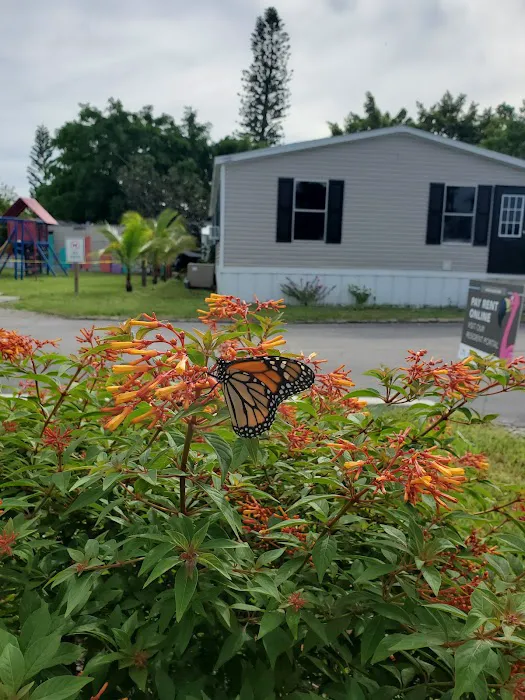 Hobe Village Mobile Home Park Picture 9
