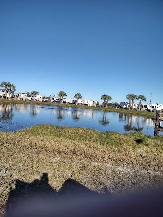 Sabal Palm RV Resort Picture 3