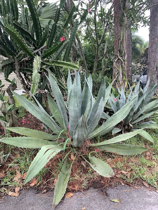 St Lucie Mobile Village Picture 8