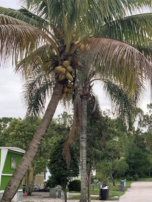 St Lucie Mobile Village Picture 10