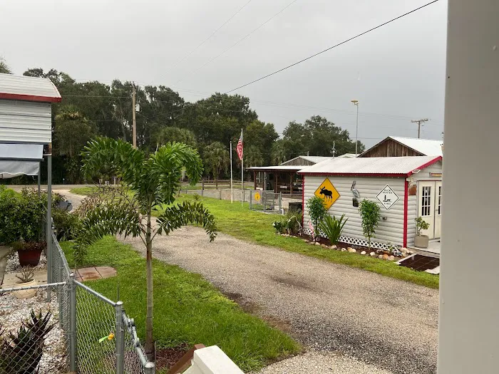 The Duck Stop, Llc Picture 2