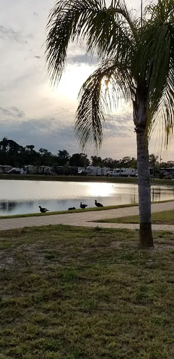 Oak Grove RV Resort Picture 8