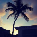 Floridian Ocean Park