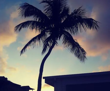 Floridian Ocean Park