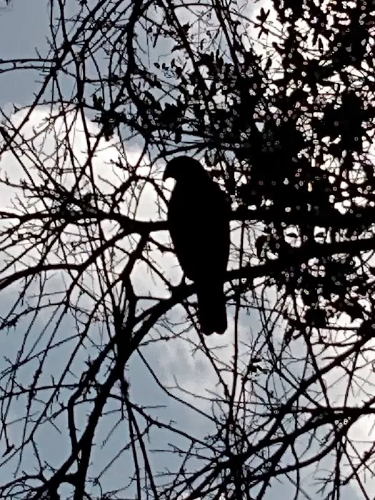 Benbow Village Picture 6